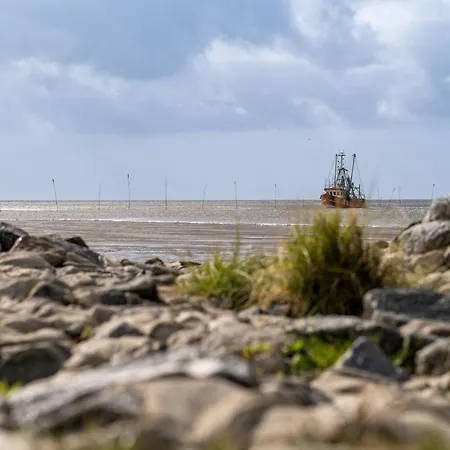 Vakantiehuis Westertill 33